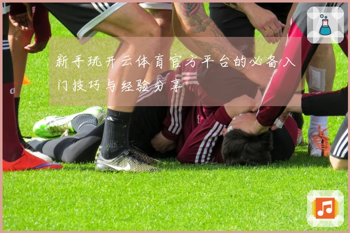 新手玩开云体育官方平台的必备入门技巧与经验分享