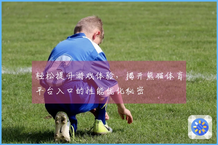 轻松提升游戏体验，揭开熊猫体育平台入口的性能优化秘密