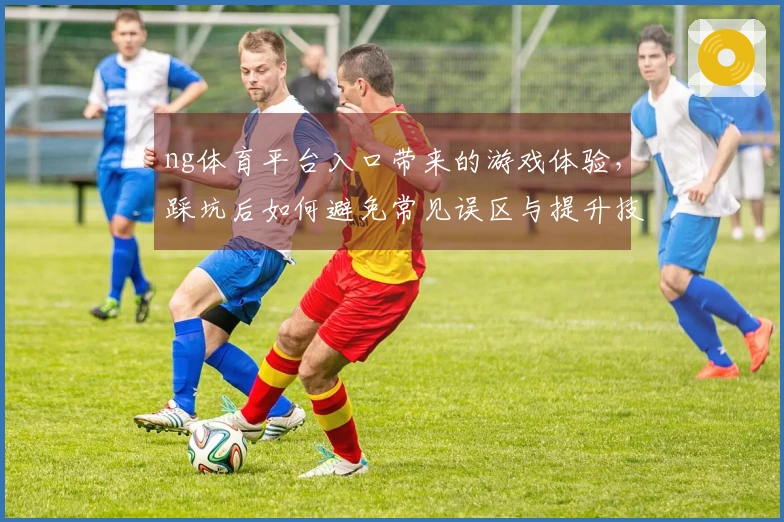 ng体育平台入口带来的游戏体验，踩坑后如何避免常见误区与提升技巧