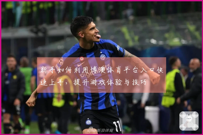 新手如何利用博澳体育平台入口快速上手，提升游戏体验与技巧